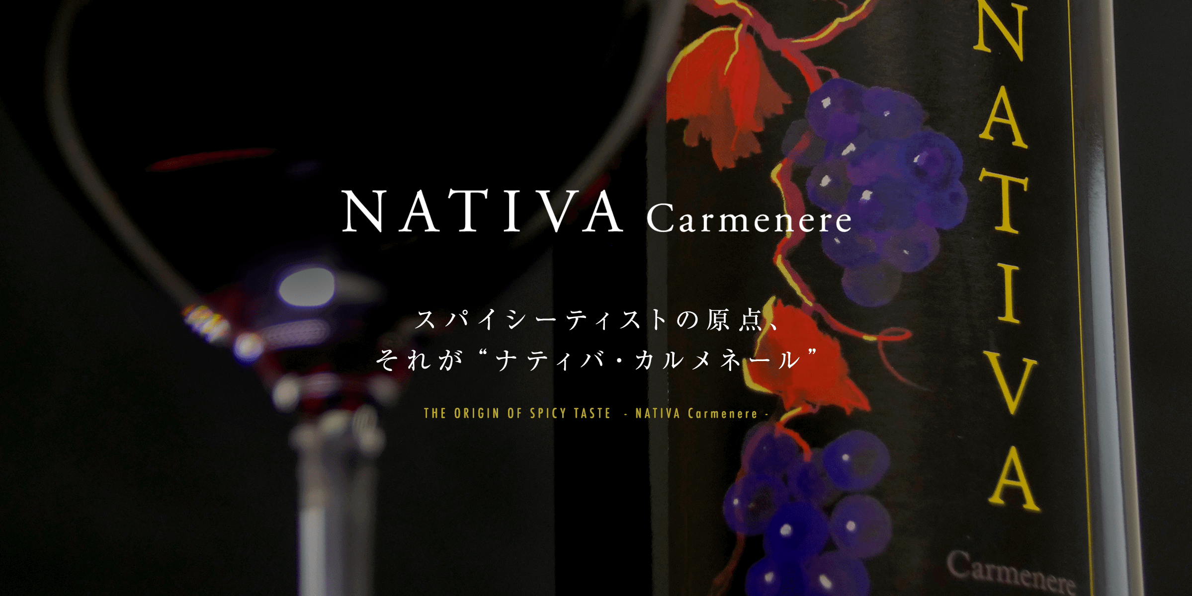 NATIVA Carmenere（ナティバ・カルメネール）